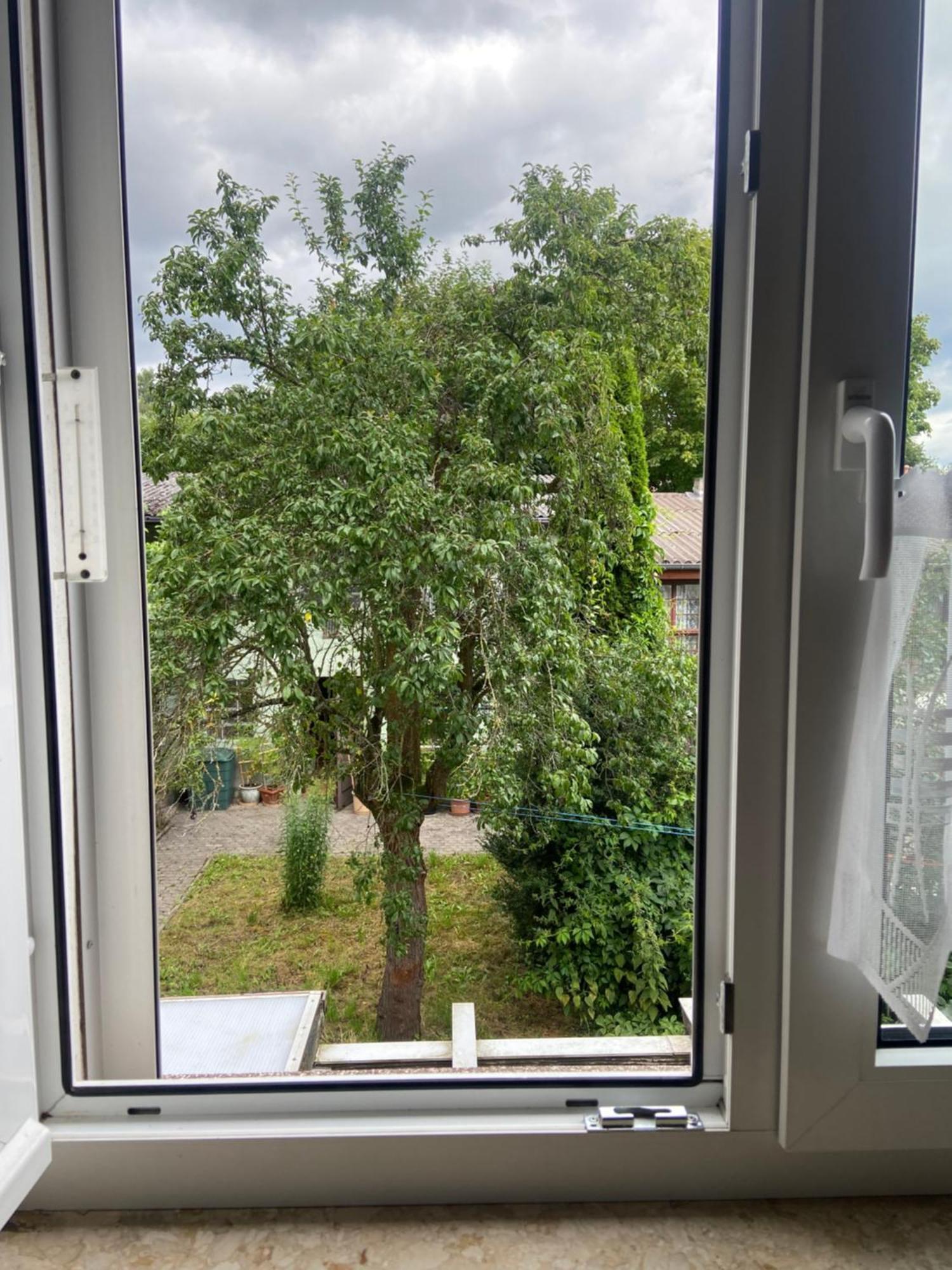 Stadtzentrumnahe Wohnung An Der Gruenen Aue, Kostenfreier Parkplatz Fulda Exterior foto